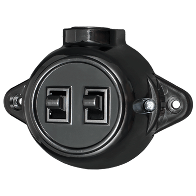 ANTIQUE TWO BUTTON ONE WAY SWITCH 10А 250V BLACK