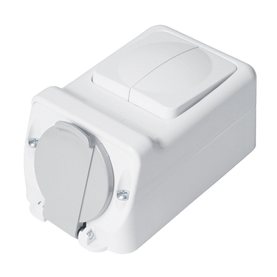 SOCKET+TWO BUTTON ONE WAY SWITCH 16А 250V, IP44