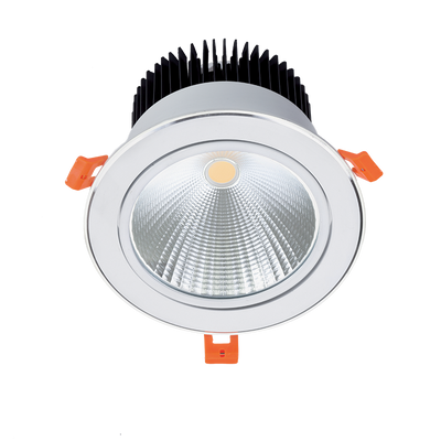 LED Vgrajena  svetilka  RDL60COB 20W 230V 2700K 60° bela