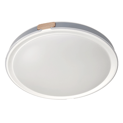 EL-2202 Stropna LED razsvetljava 36W CCT z zatemnitvijo bela