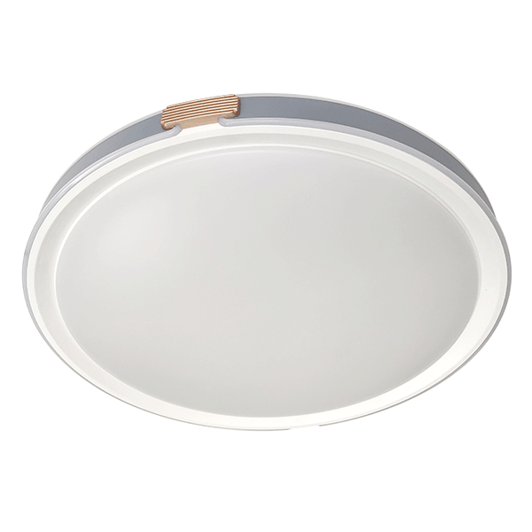 EL-2202 Stropna LED razsvetljava 60W CCT z zatemnitvijo bela
