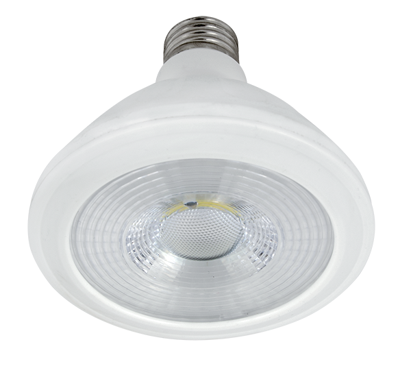 LED Žarnica  ledcob PAR30 10W E27 230V bela