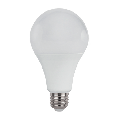 LED ŽARNICA PEAR A60 13W E27 12-48V 6500K