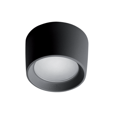 Livia 160 LED stropna svetilka 10W CCT 4000K IP55 črna