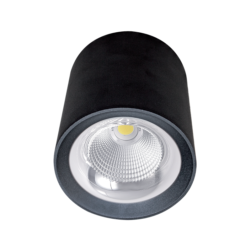 Flcom LED stropna svetilka za nadometno montažo 40W 230V 4000K 60° črna