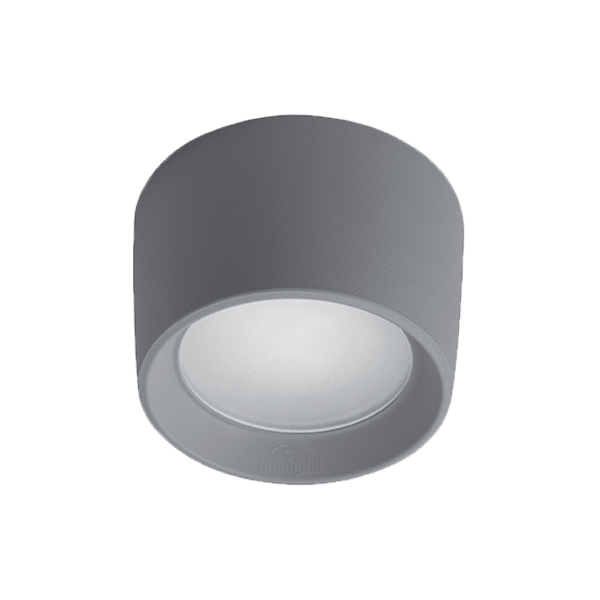 Livia 160 LED stropna svetilka 10W CCT 4000K IP55 siva