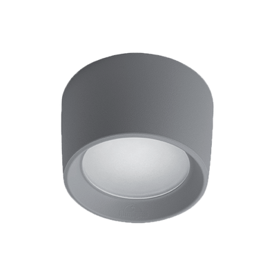 Livia 160 LED stropna svetilka 10W CCT 4000K IP55 siva