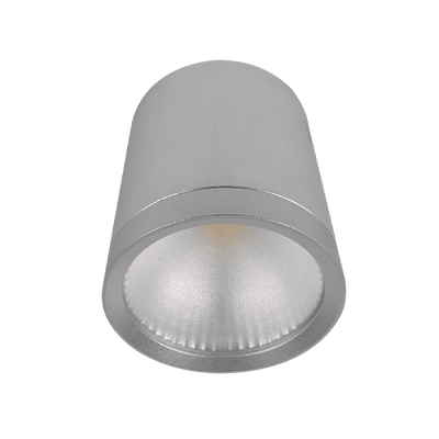 LED Vgrajena svetilka rdlcob 10W 230W 4000K 60° srebrna