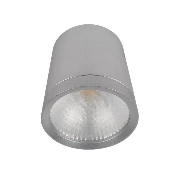 LED Vgrajena svetilka rdlcob 20W 230V 4000K 60° srebrna