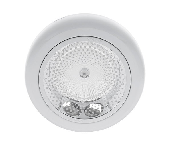 GL213 WHITE - model 2