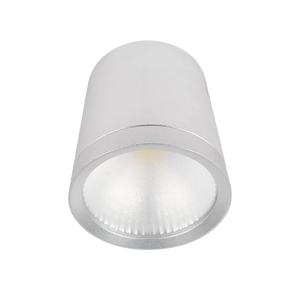 LED Vgrajena svetilka rdlcob 20W 230V 4000K 60° bela