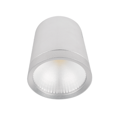 LED Vgrajena svetilka rdlcob 20W 230V 4000K 60° bela