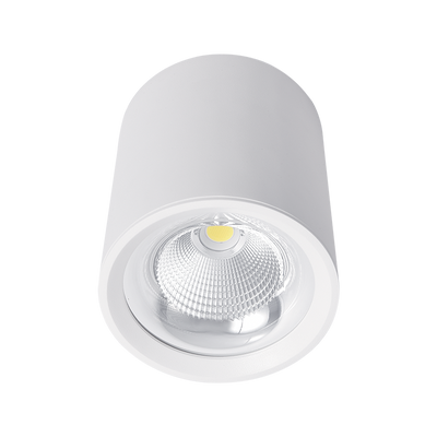 Flcom LED stropna svetilka za nadometno montažo 20W 230V 4000K 60° bela