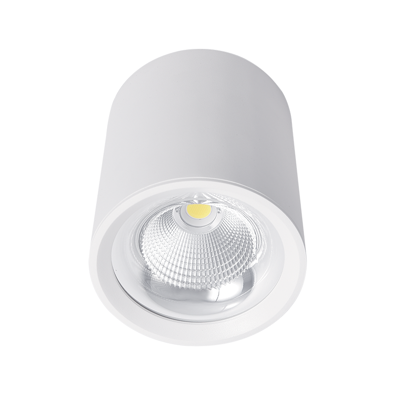 Flcom LED stropna svetilka za nadometno montažo 30W 230V 4000K 60° bela