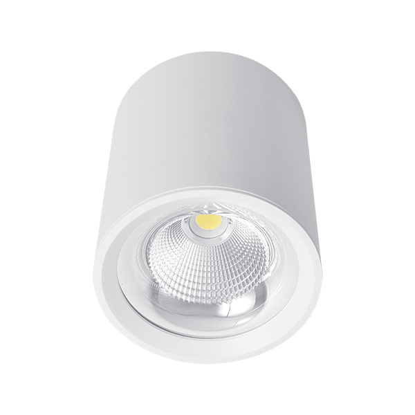 Flcom LED stropna svetilka za nadometno montažo 10W 230V 4000K 60° bela